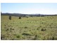 Downsfield QLD 4570