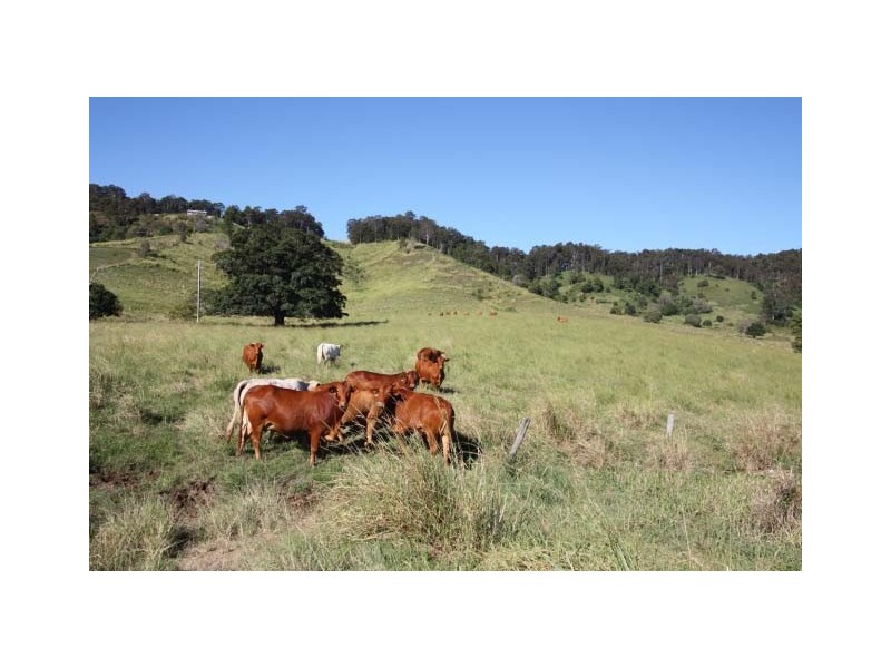 Downsfield QLD 4570