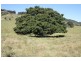 Downsfield QLD 4570