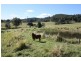 Downsfield QLD 4570