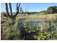 Downsfield QLD 4570