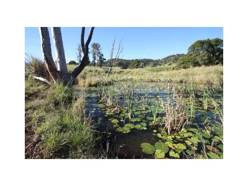 Downsfield QLD 4570