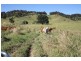 Downsfield QLD 4570