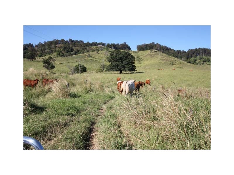 Downsfield QLD 4570