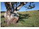 Downsfield QLD 4570