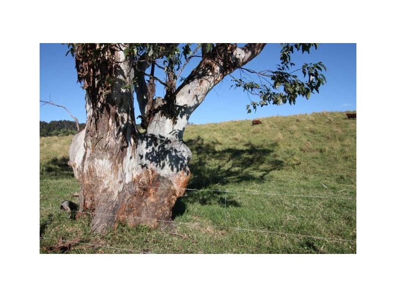Downsfield QLD 4570