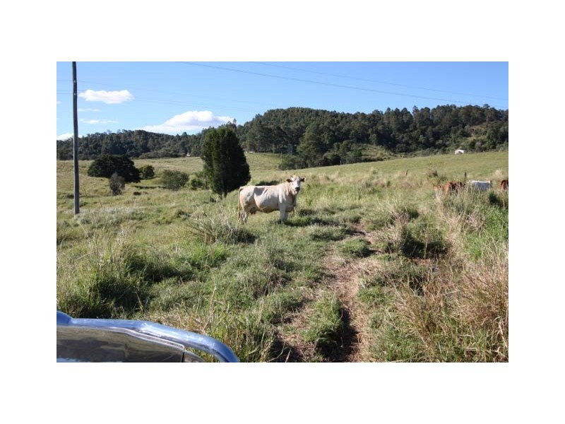 Downsfield QLD 4570