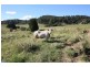 Downsfield QLD 4570