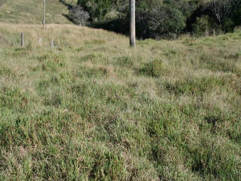 33 Gibson Road, Mooloo QLD 4570