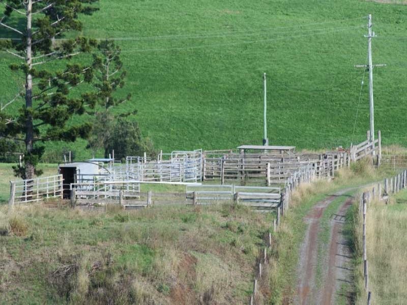 33 Gibson Road, Mooloo QLD 4570