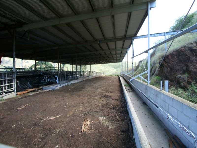 33 Gibson Road, Mooloo QLD 4570