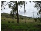 Tansey QLD 4601