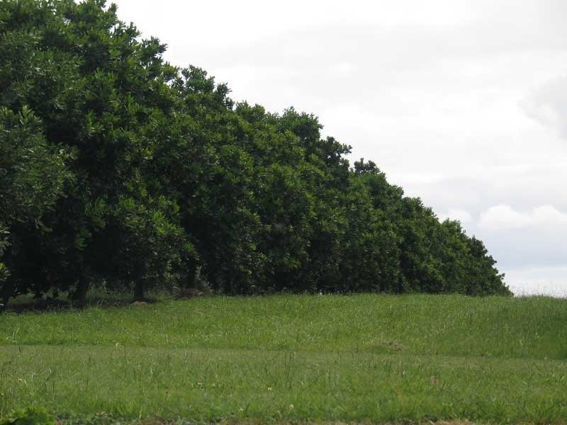 Chatsworth QLD 4570
