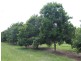 Chatsworth QLD 4570