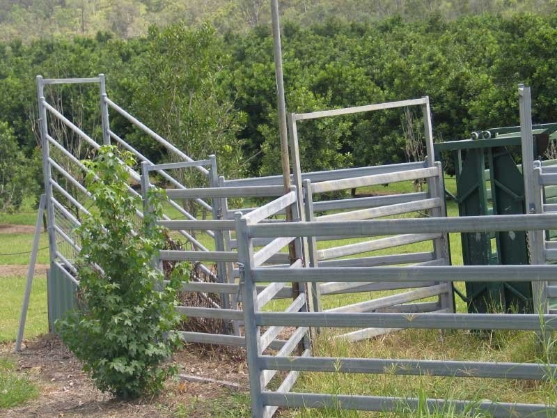 Chatsworth QLD 4570
