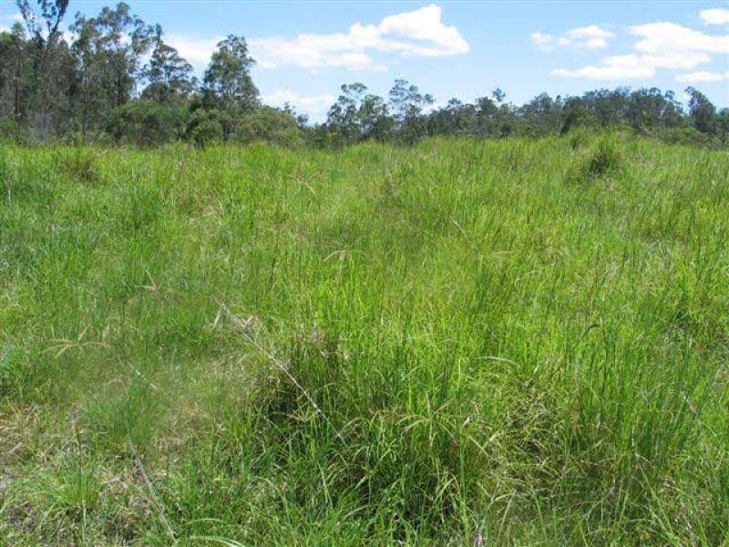 Curra QLD 4570