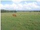 Gunalda QLD 4570