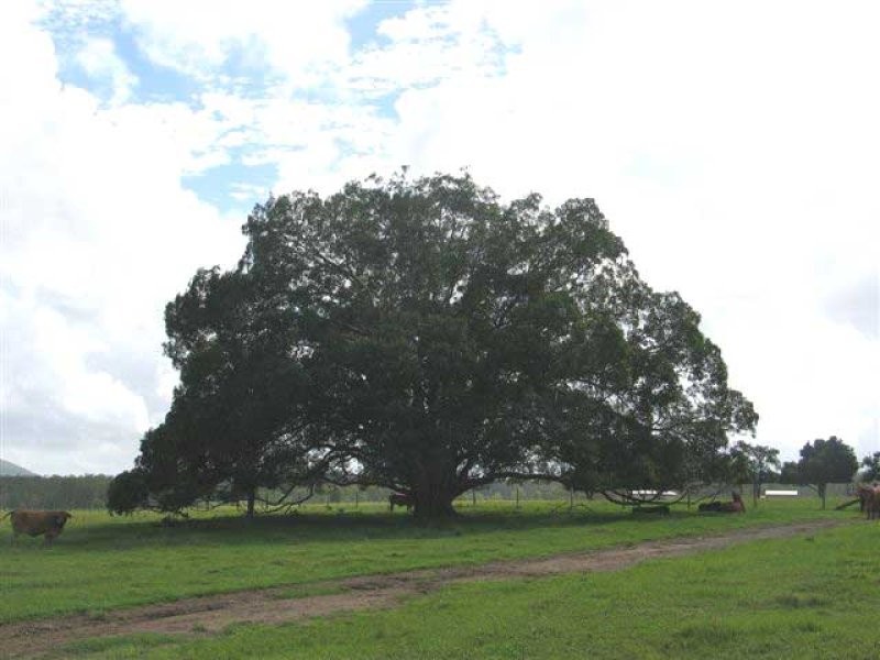 Gunalda QLD 4570