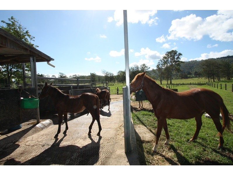 Wolvi QLD 4570