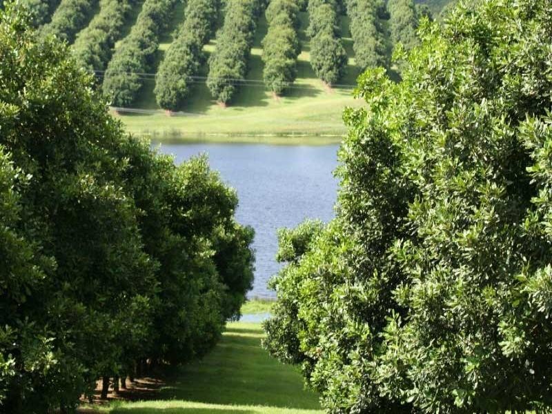 Greens Creek QLD 4570