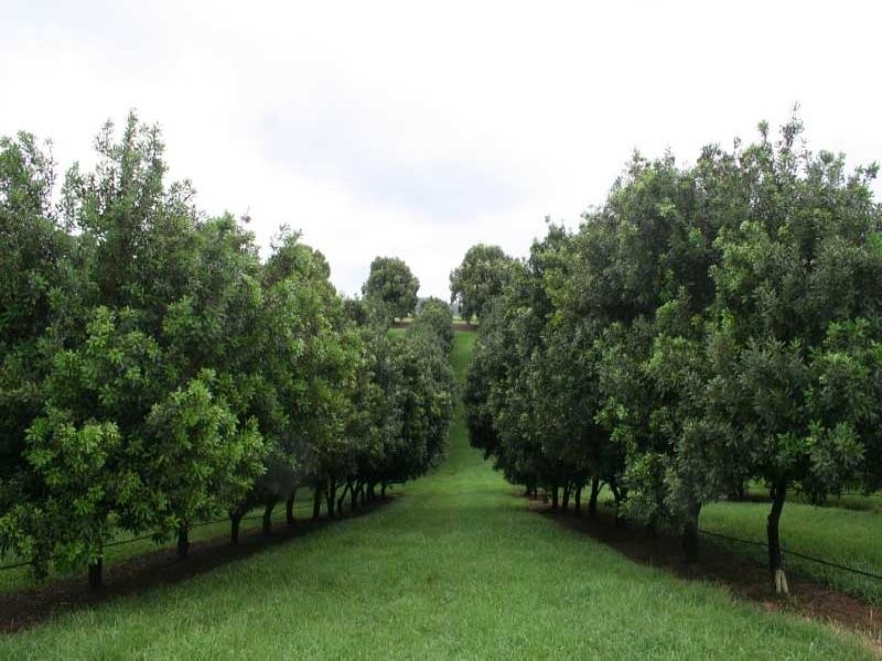 Greens Creek QLD 4570