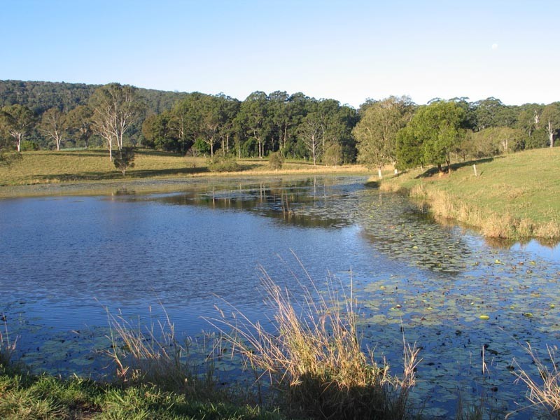 Wolvi QLD 4570