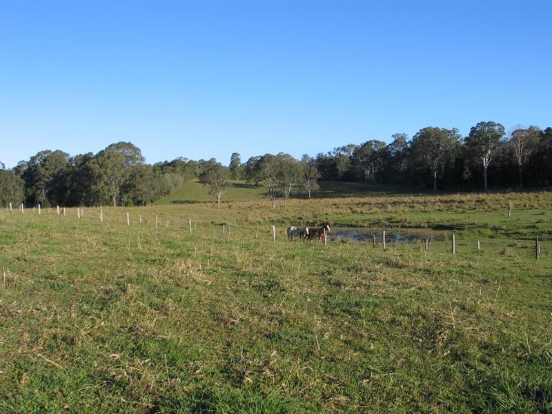 Wolvi QLD 4570