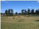 Wolvi QLD 4570
