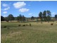 Wolvi QLD 4570