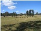Wolvi QLD 4570