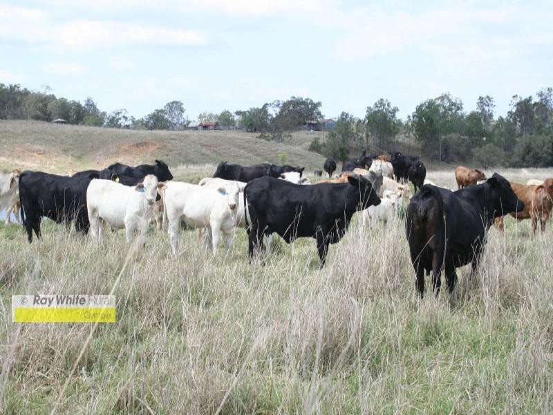 Munna Creek QLD 4570