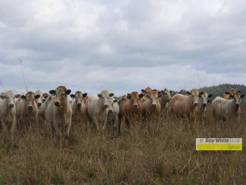 Munna Creek QLD 4570