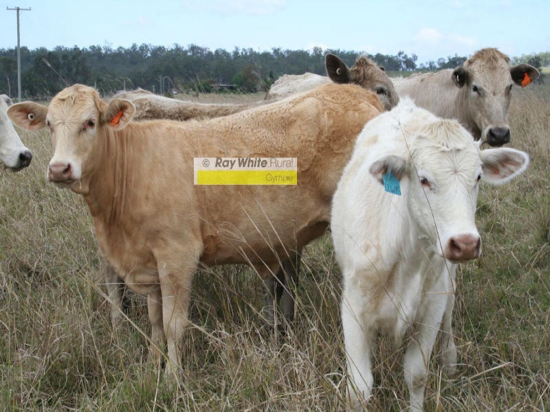 Munna Creek QLD 4570