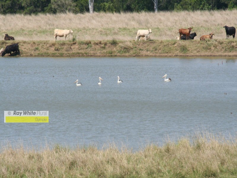 Munna Creek QLD 4570