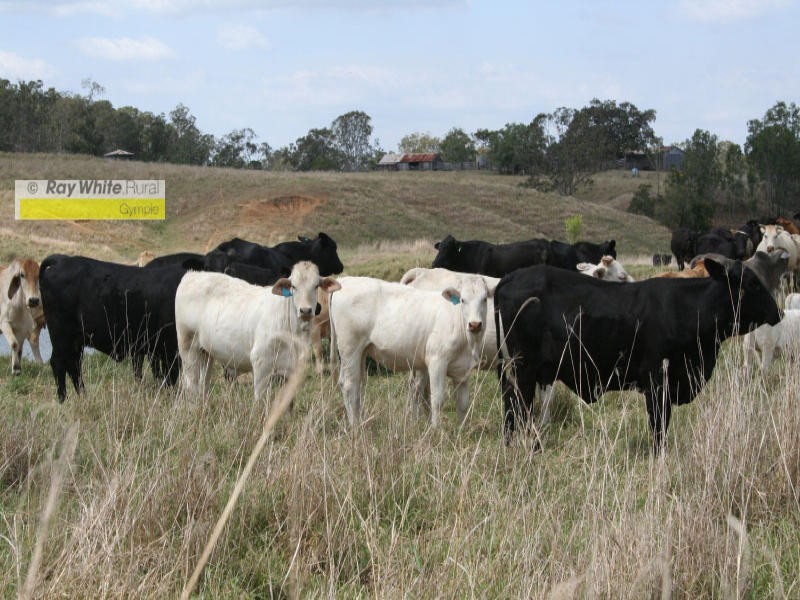 Munna Creek QLD 4570