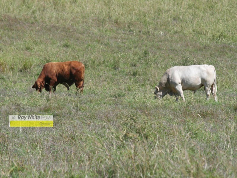 Munna Creek QLD 4570