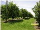 Amamoor QLD 4570