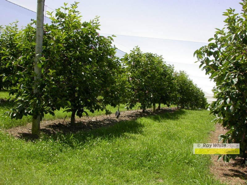 Amamoor QLD 4570