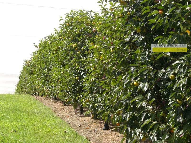 Amamoor QLD 4570