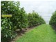 Amamoor QLD 4570