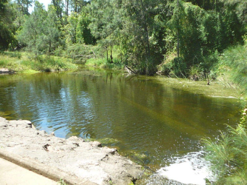 Lower Wonga QLD 4570