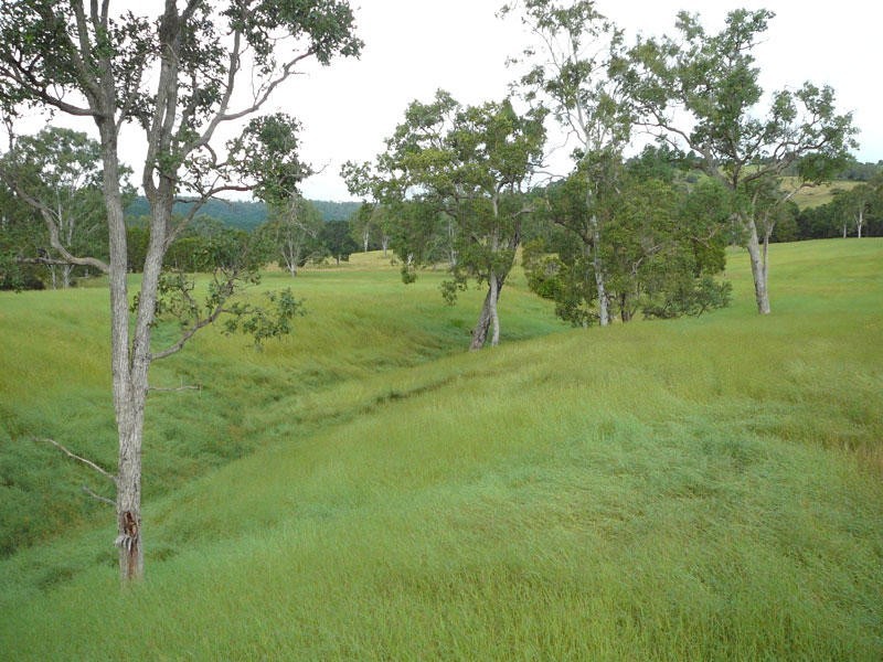 Lower Wonga QLD 4570