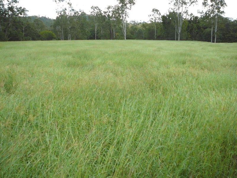 Lower Wonga QLD 4570