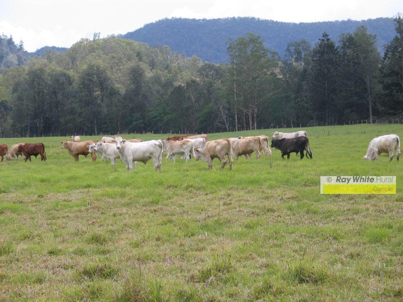Imbil QLD 4570