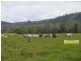Imbil QLD 4570