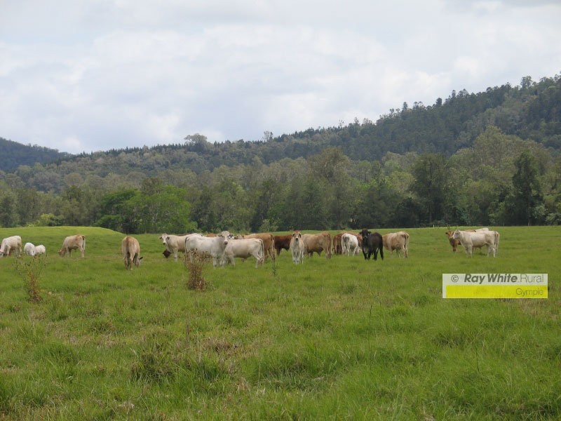 Imbil QLD 4570