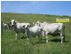 Mooloo QLD 4570