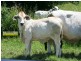 Mooloo QLD 4570