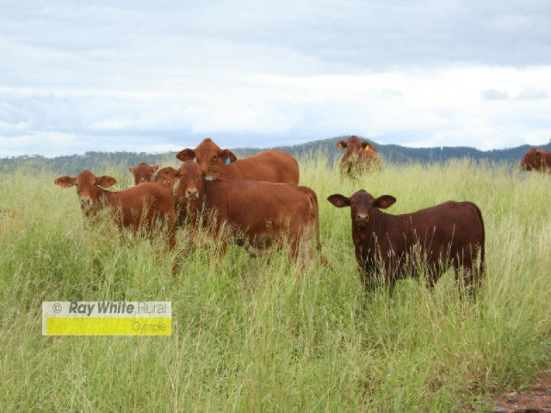 Cinnabar QLD 4600