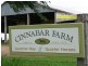 Cinnabar QLD 4600